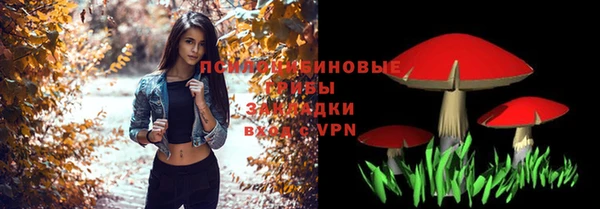 гидра Алексеевка