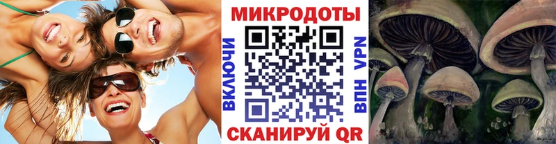 Псилоцибиновые грибы мухоморы Рыбное