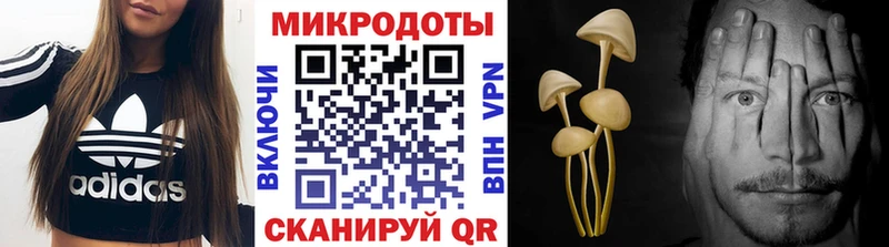 Галлюциногенные грибы GOLDEN TEACHER  цена наркотик  KRAKEN как войти  Рыбное 